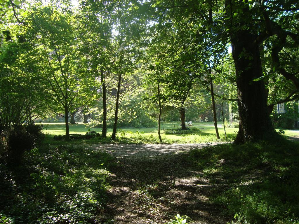 Chalet Du Bel Event La Chapelle-sur-Dun Kültér fotó